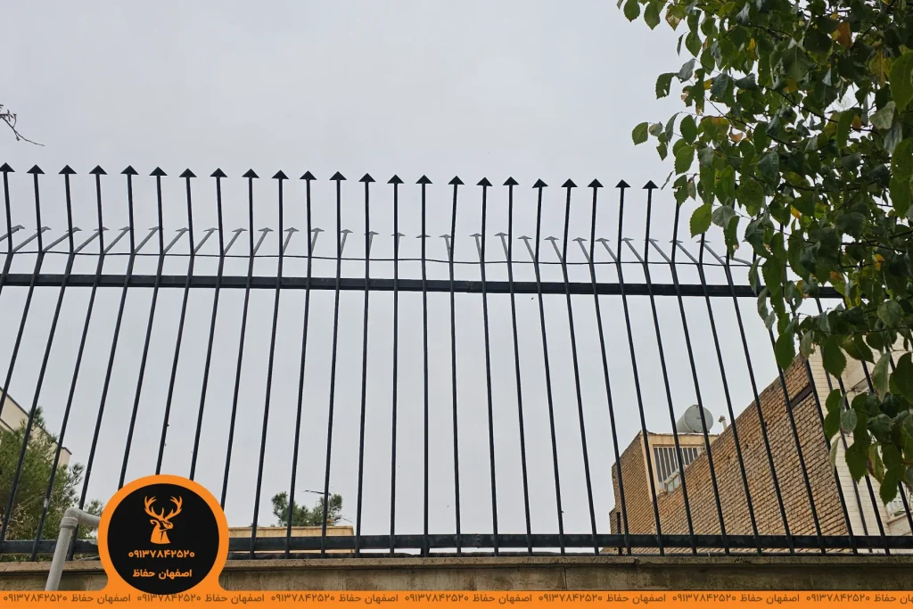 حفاظ سر نیزه ای یا بوته خاری کدام را خریداری کنیم؟