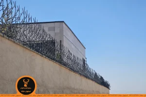 حفاظ شاخ گوزنی در اهواز