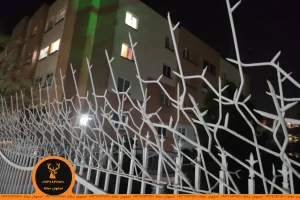 حفاظ شاخ گوزنی در شت