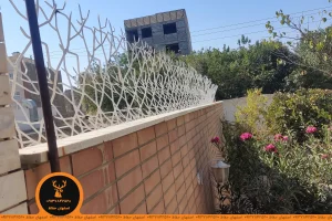 حفاظ شاخ گوزنی در گیلان