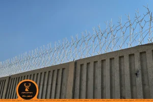 حفاظ شاخ گوزنی سفید رنگ بر روی دیوار سیمی در شاهین شهر