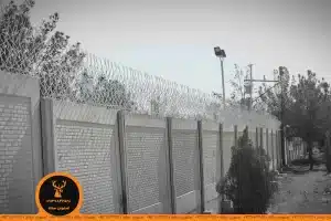 حفاظ شاخ گوزنی در کرمان