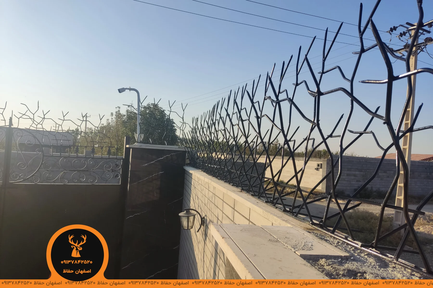 حفاظ شاخ گوزنی در همدان